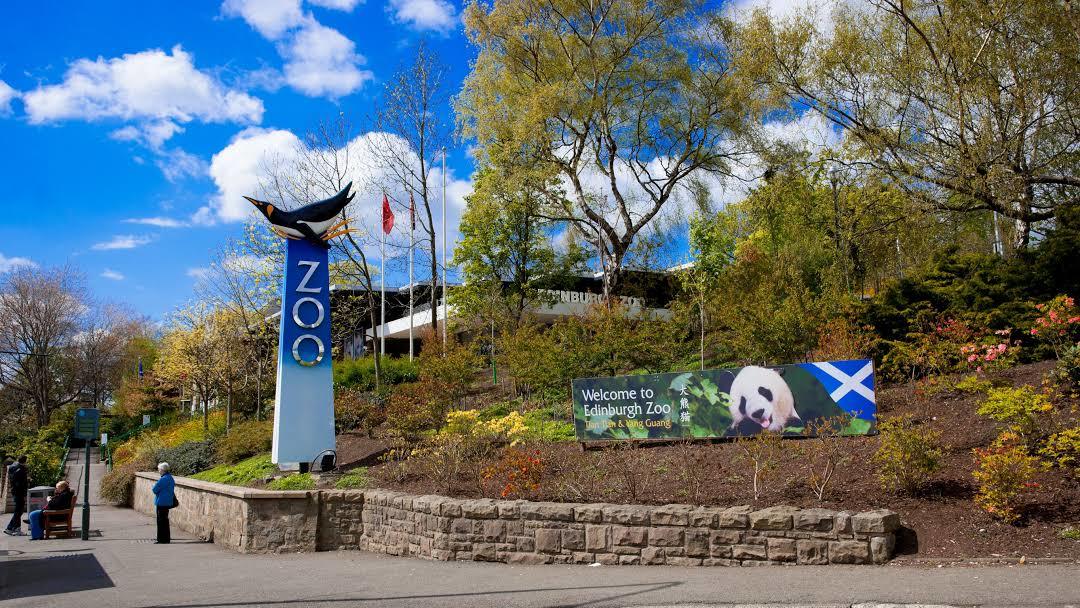 Zoo di Edimburgo
